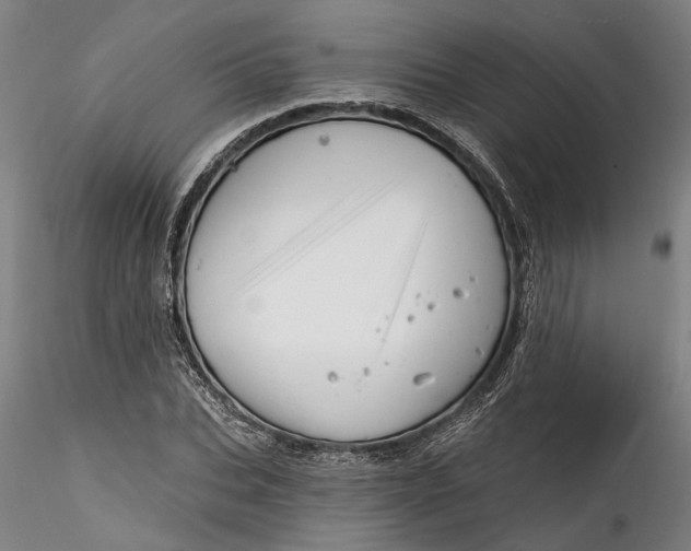 X0000115520927200911271319