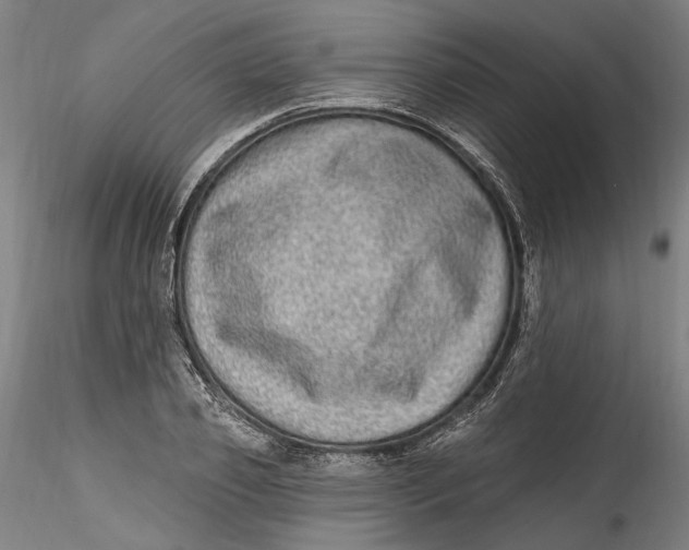 X0000115520933200911271319