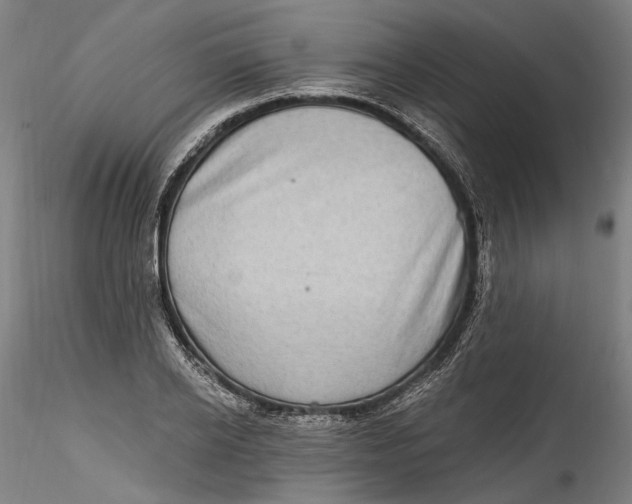 X0000115520934200911271319