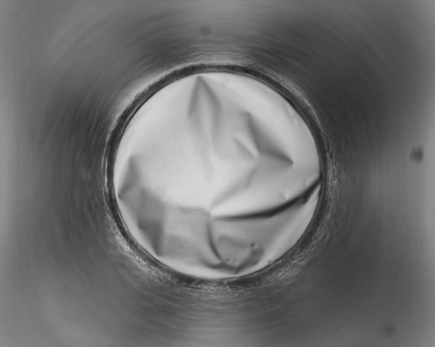 X0000115520935200911271319