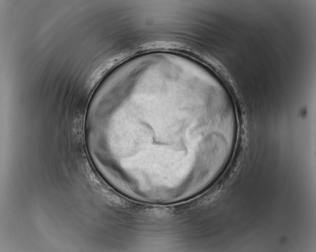 X0000115520937200911271320