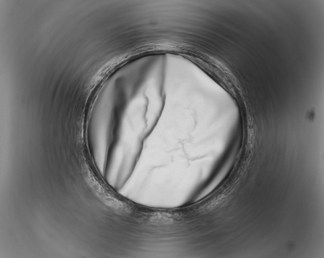 X0000115520938200911271320