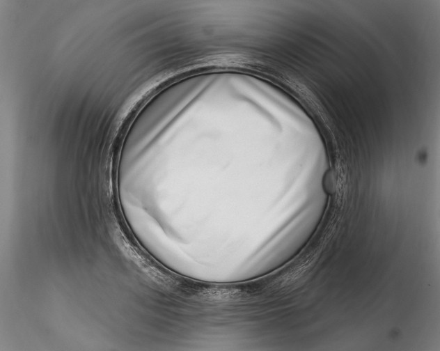 X0000115520939200911271320