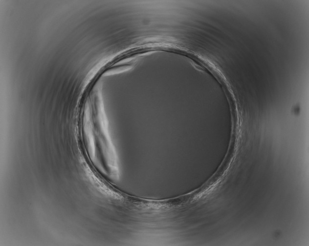 X0000115520941200911271320