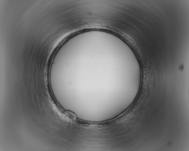 X0000115520942200911271320