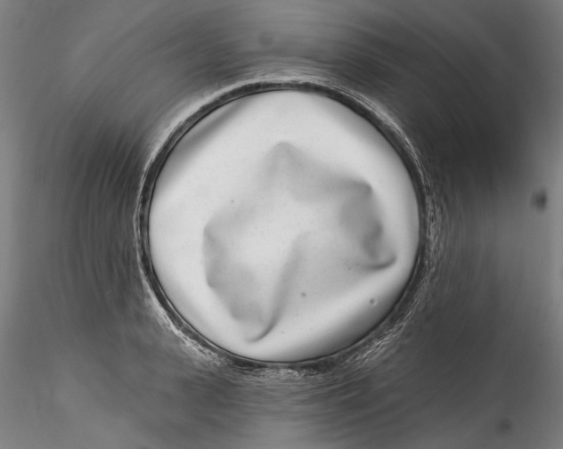 X0000115520943200911271320