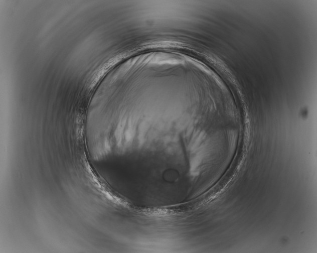 X0000115520945200911271320