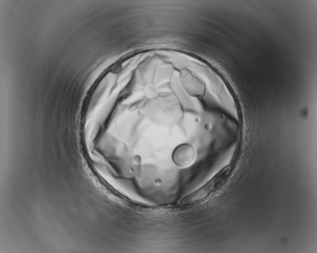 X0000115520949200911271320