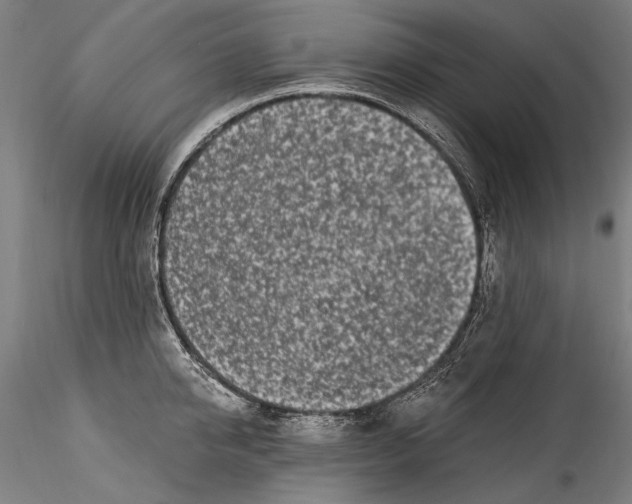 X0000115520950200911271320