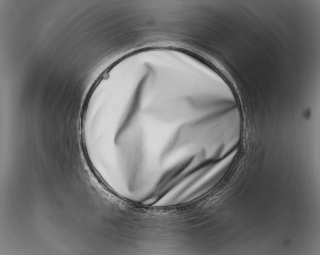 X0000115520951200911271320