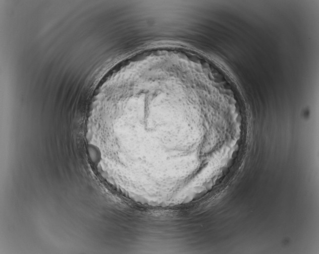 X0000115520953200911271320