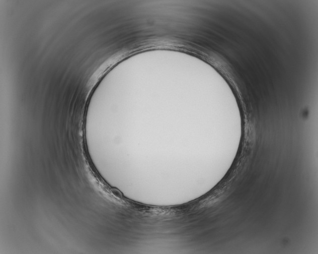 X0000115520954200911271320