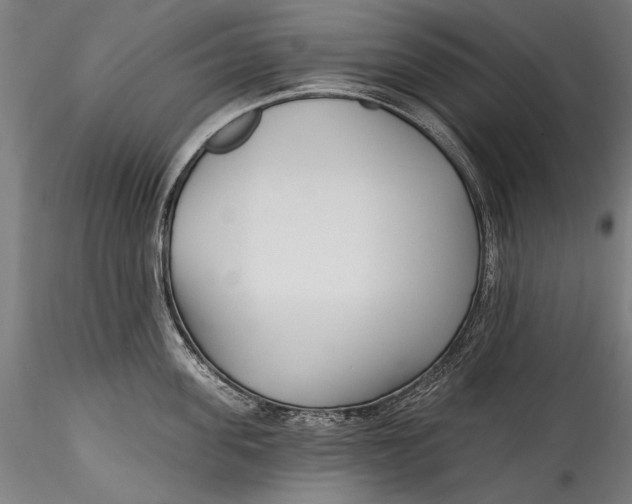 X0000115520955200911271320