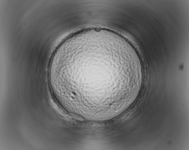 X0000115520958200911271320