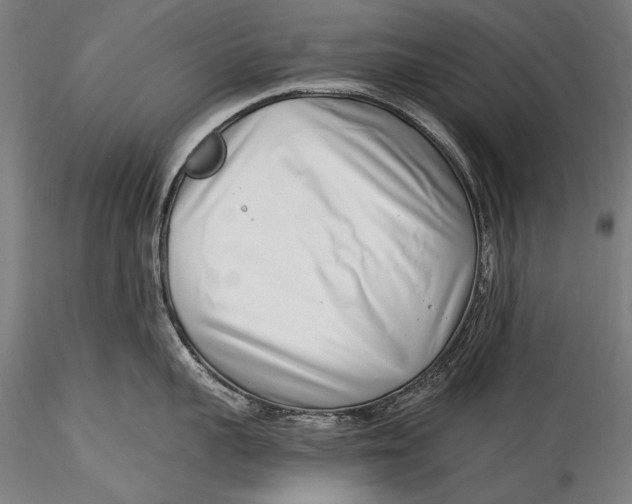 X0000115520959200911271320