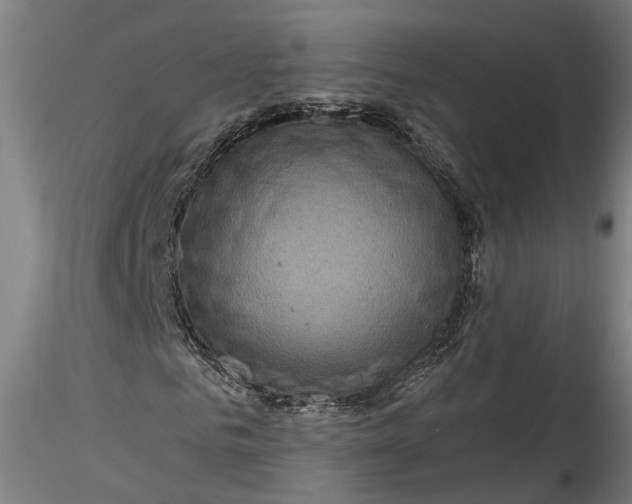 X0000115520961200911271319