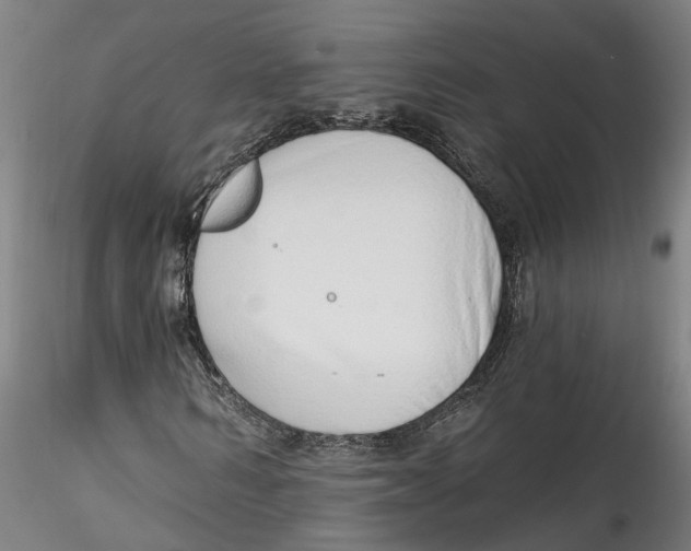 X0000115520962200911271319