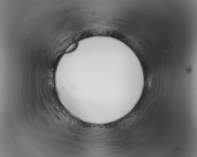 X0000115520964200911271319