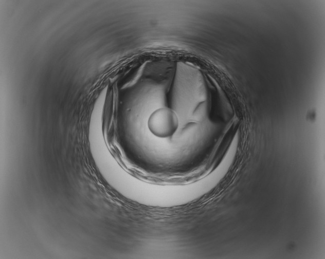 X0000115520965200911271319