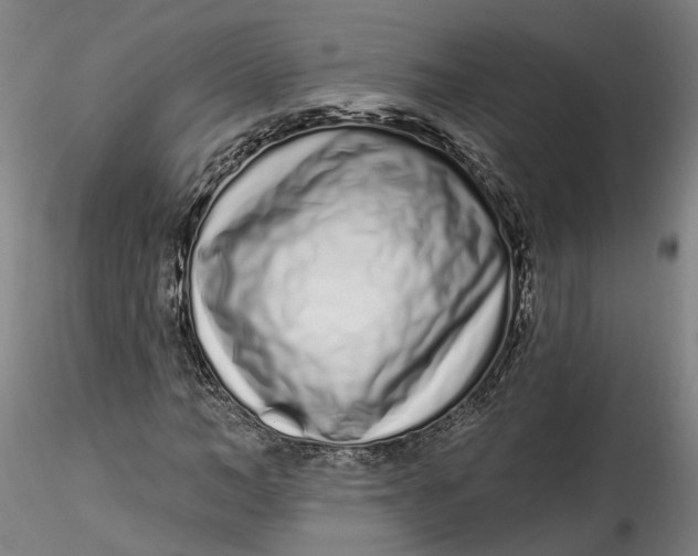 X0000115520966200911271319