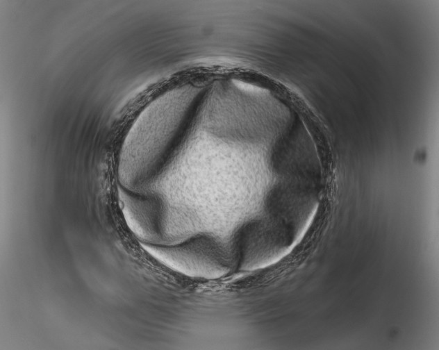 X0000115520967200911271319