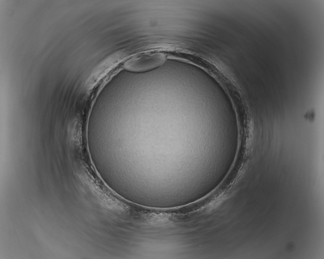 X0000115520969200911271319