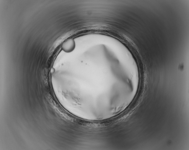 X0000115520970200911271319