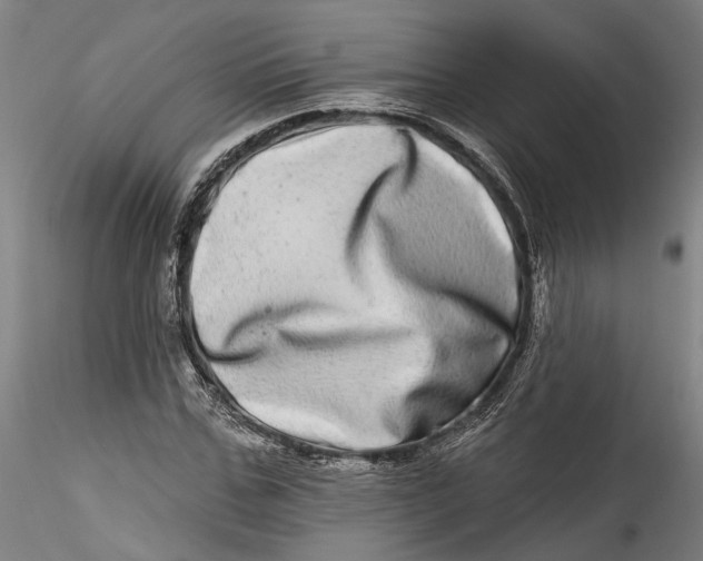 X0000115520971200911271319