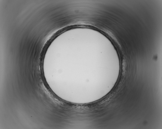 X0000115520972200911271319