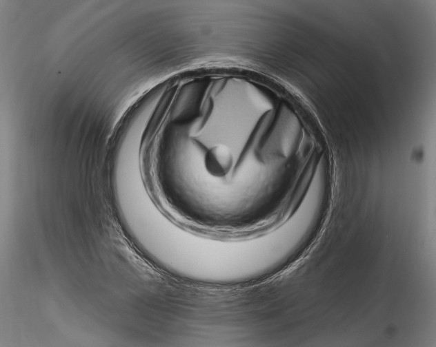 X0000115520973200911271319