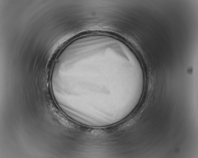 X0000115520974200911271319