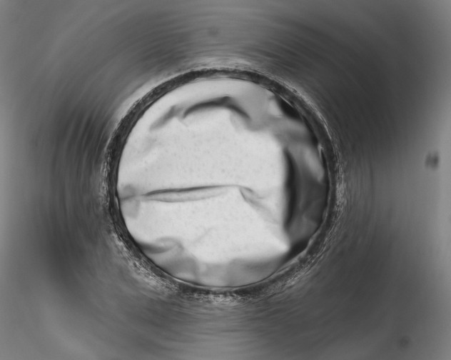 X0000115520975200911271319