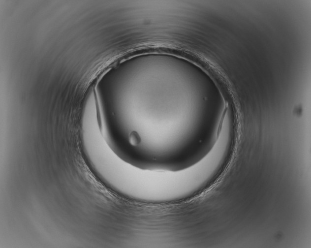 X0000115520977200911271319