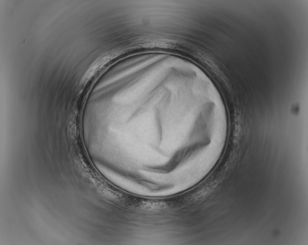 X0000115520978200911271319