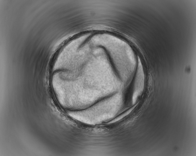 X0000115520979200911271319