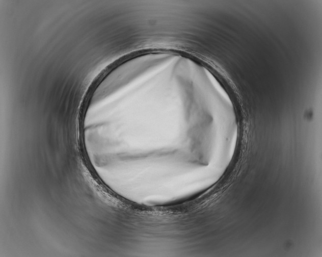 X0000115520980200911271319