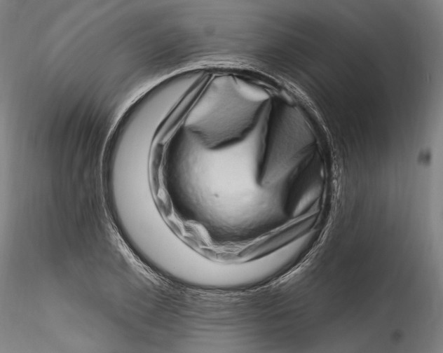 X0000115520981200911271319