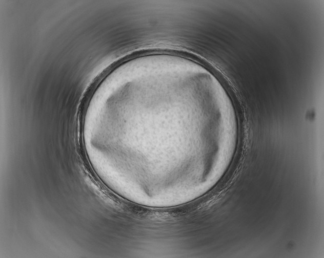 X0000115520982200911271319