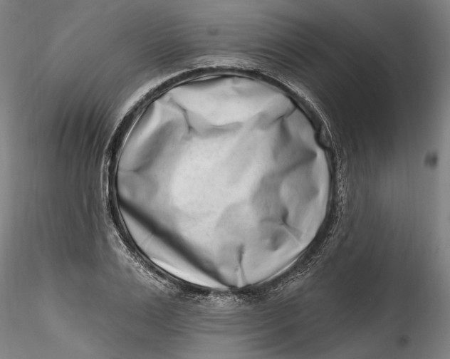 X0000115520983200911271319