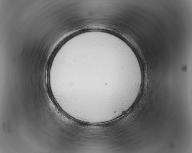 X0000115520984200911271319