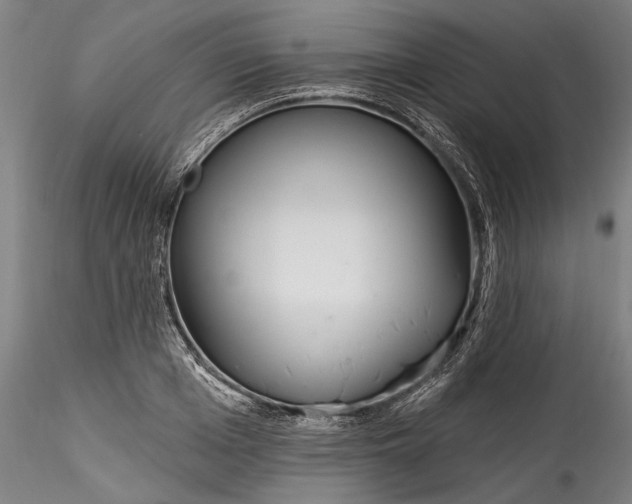 X0000115520985200911271319