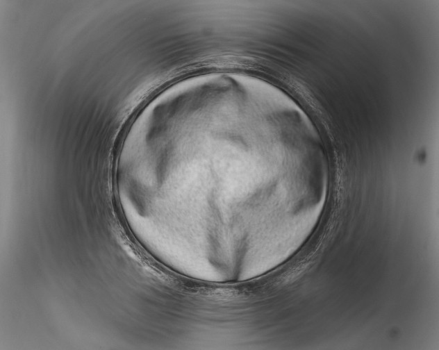 X0000115520986200911271319