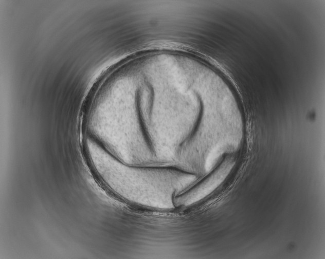 X0000115520987200911271319