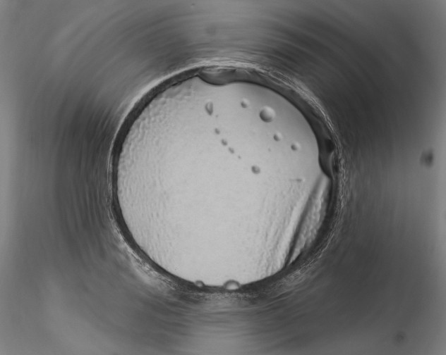 X0000115520988200911271319