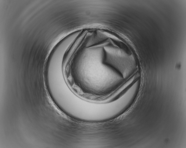 X0000115520989200911271319