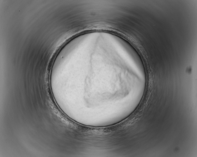 X0000115520990200911271319