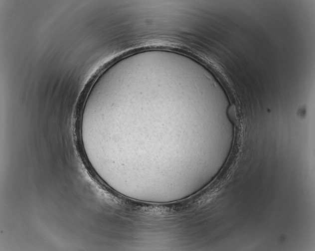 X0000115520991200911271319