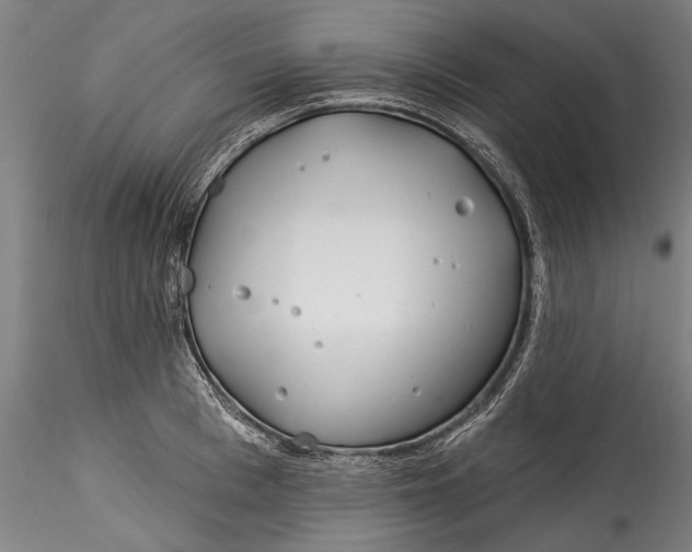 X0000115520993200911271319