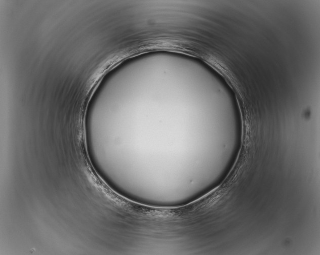 X0000115520994200911271319