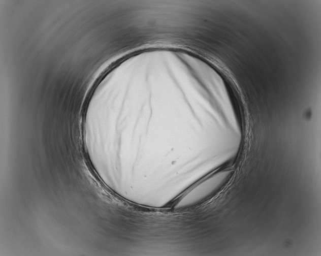 X0000115520996200911271319